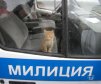 ������ ������������ dasist2007 �� ����� 4ppc.ru