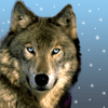 ������ ������������ WolfhounD �� ����� 4ppc.ru