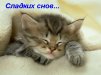 ������ ������������ laikm �� ����� 4ppc.ru