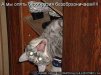 ������ ������������ Kotya �� ����� 4ppc.ru