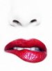 ������ ������������ mecicika �� ����� 4ppc.ru