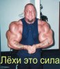 ������ ������������ megalit �� ����� 4ppc.ru