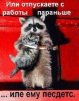 ������ ������������ zhila �� ����� 4ppc.ru