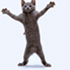 ������ ������������ serega99999 �� ����� 4ppc.ru