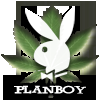 ������ ������������ Planboy �� ����� 4ppc.ru