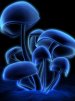 ������ ������������ wterechin �� ����� 4ppc.ru