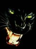 ������ ������������ pawka-731 �� ����� 4ppc.ru