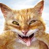 ������ ������������ GuitarALF �� ����� 4ppc.ru