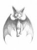 ������ ������������ Vampire �� ����� 4ppc.ru