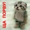 ������ ������������ devil-angels �� ����� 4ppc.ru