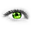 ������ ������������ MOLDBUX �� ����� 4ppc.ru