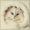 ������ ������������ Vredinka �� ����� 4ppc.ru